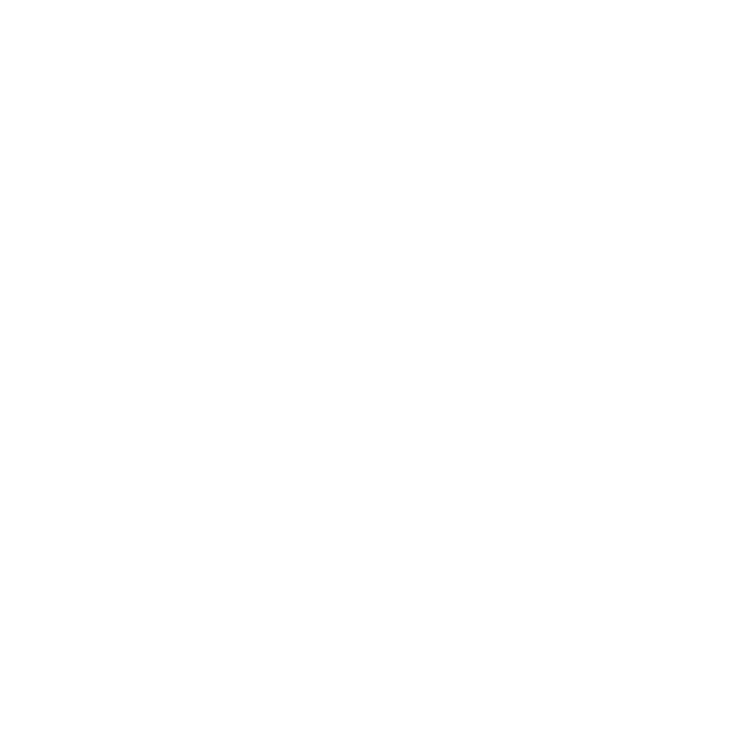 Next Steps White Logo